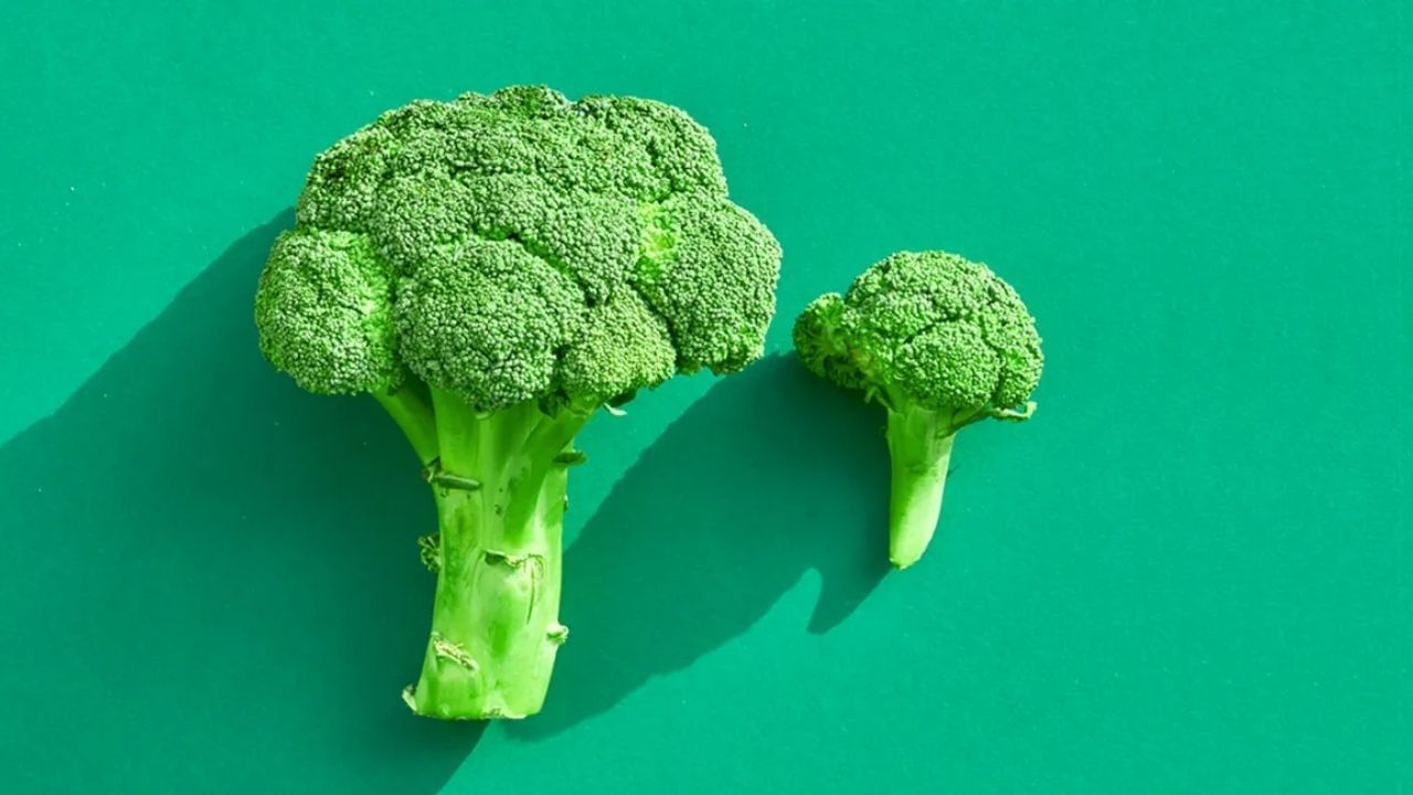 Benefits of Broccoli: ব্রকলি খাওয়ার বিভিন্ন স্বাস্থ্যকর দিক রয়েছে, ক্যানসার প্রতিরোধে এর কাজ কী, জানা আছে?