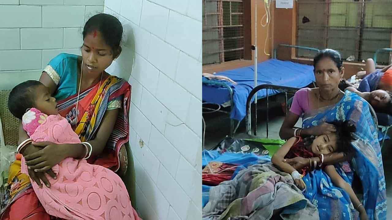 North Bengal: অজানা জ্বরে জবুথবু উত্তরবঙ্গ, কোন জেলায় কত আক্রান্ত, জানাল স্বাস্থ্য দফতর North Bengal: অজানা জ্বরে জবুথবু উত্তরবঙ্গ, কোন জেলায় কত আক্রান্ত, জানাল স্বাস্থ্য দফতর