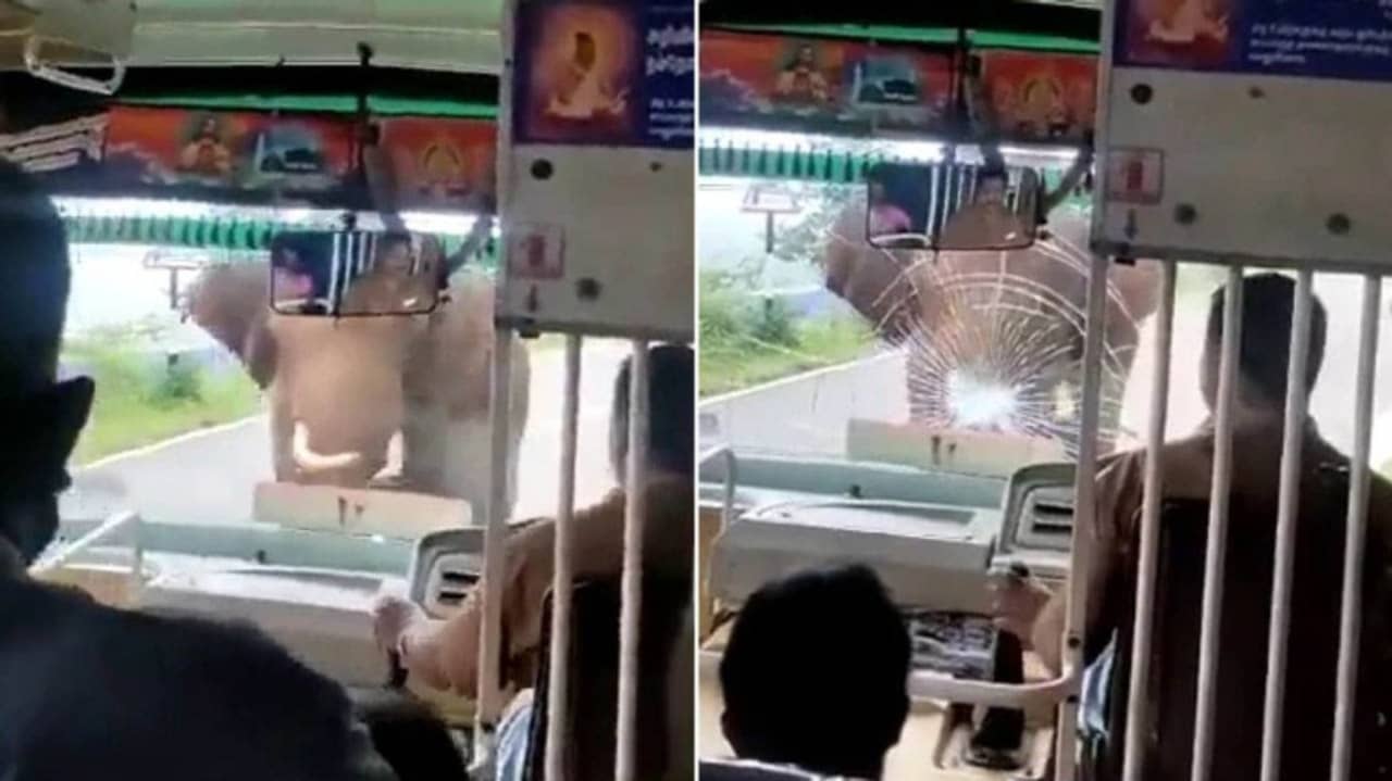 Viral Video: উত্তেজিত হয়ে হাতি ধাক্কা মারল যাত্রী বোঝাই বাসের জানলায়! তারপর কী হল দেখুন ভাইরাল ভিডিয়োয়
