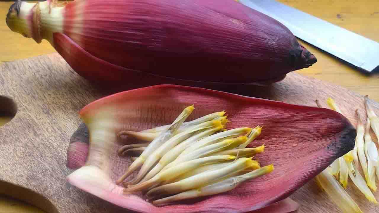 Banana Flower: ঋতুস্রাবের সমস্যা থেকে শুরু করে মুড সুইং, সব সমস্যা সমাধান করে এই ফুল! Banana Flower: ঋতুস্রাবের সমস্যা থেকে শুরু করে মুড সুইং, সব সমস্যা সমাধান করে এই ফুল!