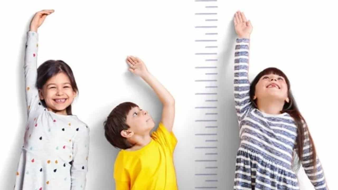 Increase Height in Children: আপনার সন্তানের উচ্চতা নিয়ে চিন্তিত? দেখে নিন কী করলে বাড়বে শিশুর উচ্চতা Increase Height in Children: আপনার সন্তানের উচ্চতা নিয়ে চিন্তিত? দেখে নিন কী করলে বাড়বে শিশুর উচ্চতা