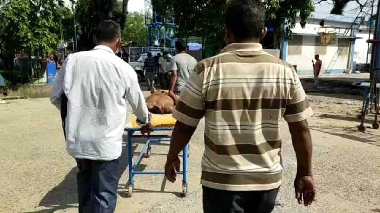 Electrocution: ২ দিনে ১০, নাতিকে ফ্যানের হাওয়া খাওয়াতে উঠে বিদ্যুৎস্পৃষ্ট হয়ে মৃত্যু দাদুর!