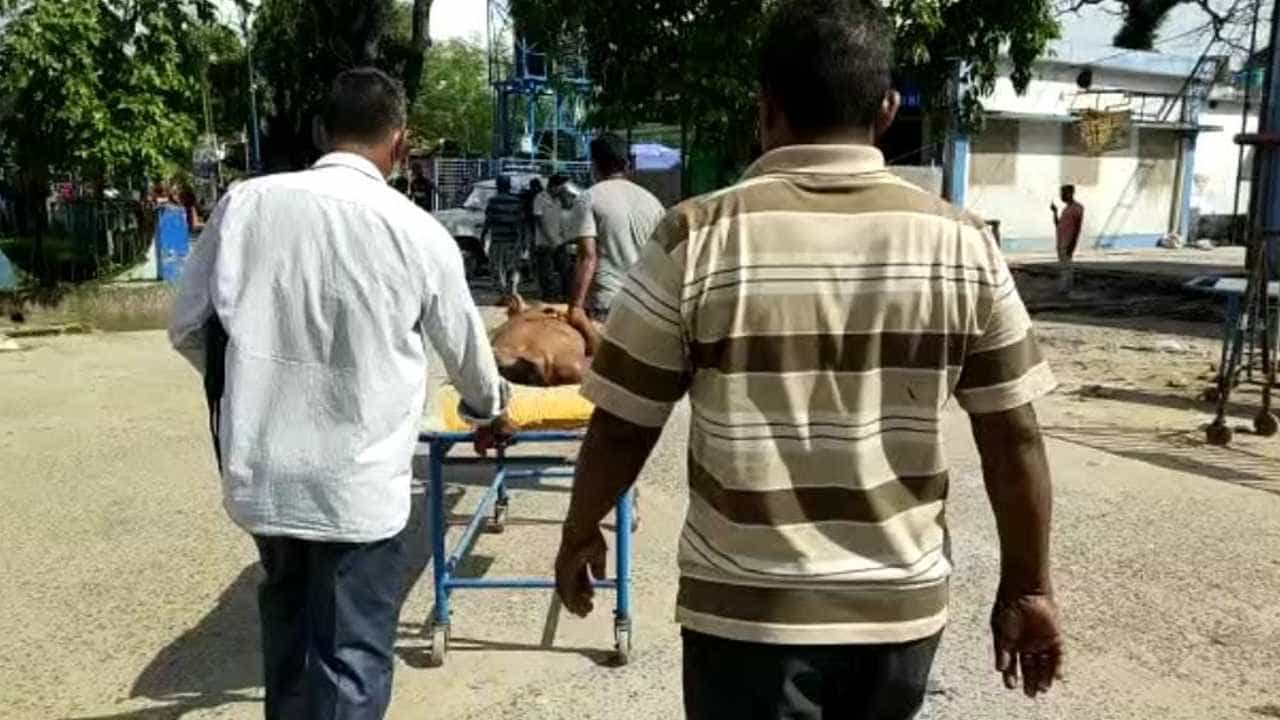 Electrocution: ২ দিনে ১০, নাতিকে ফ্যানের হাওয়া খাওয়াতে উঠে বিদ্যুৎস্পৃষ্ট হয়ে মৃত্যু দাদুর! Electrocution: ২ দিনে ১০, নাতিকে ফ্যানের হাওয়া খাওয়াতে উঠে বিদ্যুৎস্পৃষ্ট হয়ে মৃত্যু দাদুর!