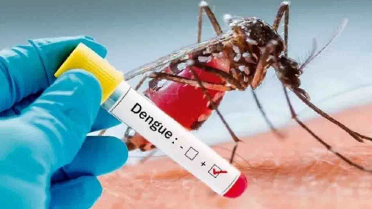 Myths About Dengue: ডেঙ্গি হলে সতর্ক হন; পা দেবেন না ভুলের ফাঁদে! Myths About Dengue: ডেঙ্গি হলে সতর্ক হন; পা দেবেন না ভুলের ফাঁদে!