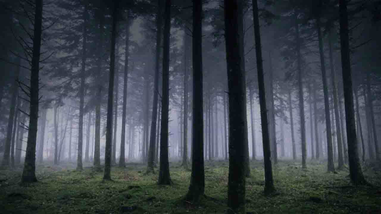 Haunted Place: গা ছমছম অনুভূতি পেতে চান? কার্শিয়াংয়ের এই জায়গার ব্যাপারে জেনে নিন Haunted Place: গা ছমছম অনুভূতি পেতে চান? কার্শিয়াংয়ের এই জায়গার ব্যাপারে জেনে নিন