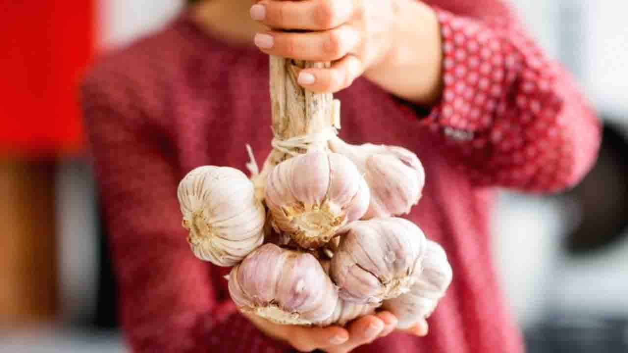 Garlic For Hair Growth Benefits  3 Tops Ways To Use It  Wildturmeric