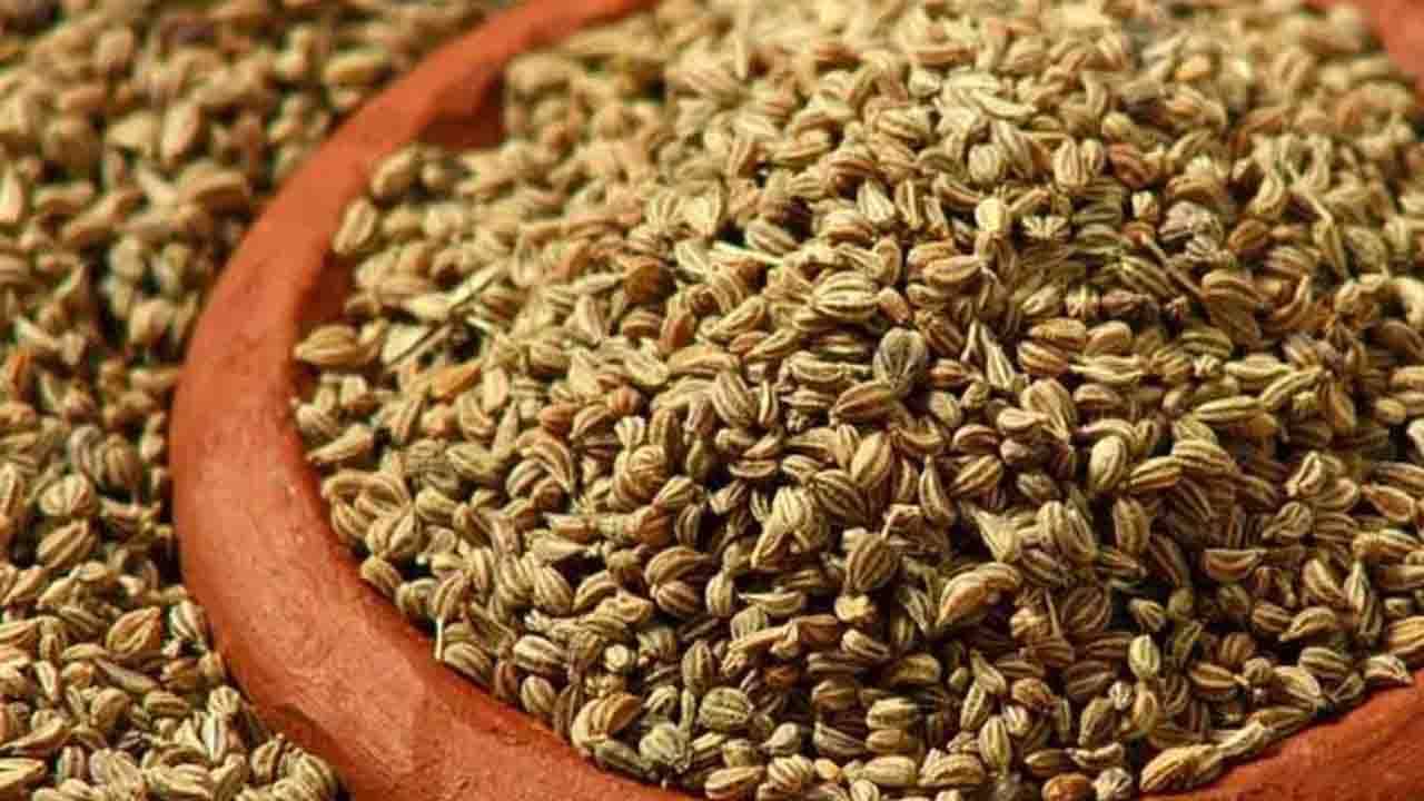 Health Tips: খাবার খাওয়ার শেষে জোয়ান খেলে স্বাস্থ্যের ওপর কী প্রভাব পড়বে জানেন?