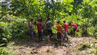 পায়ে ছোবল, মাছ ধরার ছিপ এক্কেবারে পেটে গেঁথে গোখরকে নিয়ে সটান হাসপাতালে প্রৌঢ়! তারপর…