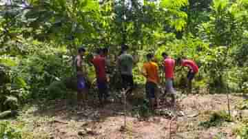 আস্ত একটা হরিণ খেয়ে পেট ফুলে ঢোল, মরণাপন্ন অবস্থা! দৃশ্য দেখে স্তম্ভিত এলাকাবাসীরা