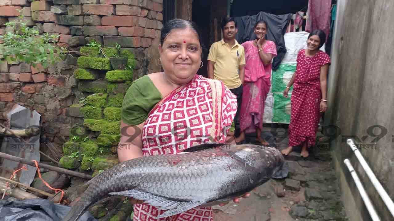 Rajarhat: এলাকার জমা জলে জাল বিছিয়েছিলেন যুবক, ধরা পড়ল পেল্লাই কাতলা