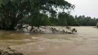 Flood in Bengal: মাথার ওপর ত্রিপলটুকুও জোটেনি, নিজেদের ঘরের শেষ রসদ দিয়েই পেট চলছে, কোথায় প্রশাসন?