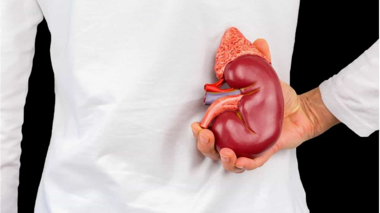 Kidney Failure: কিডনির সমস্যা বাড়াবাড়ি হওয়ার আগেই তাকে প্রতিরোধ করুন! নইলে ঘটতে পারে বিপদ Kidney Failure: কিডনির সমস্যা বাড়াবাড়ি হওয়ার আগেই তাকে প্রতিরোধ করুন! নইলে ঘটতে পারে বিপদ