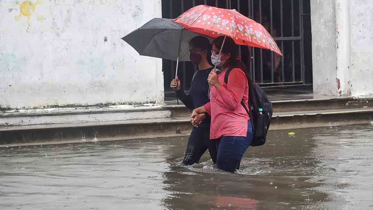 Kolkata Rain: এক রাতের বৃষ্টিতেই ভেসে যায় কলকাতা! মুক্তির পথও রয়েছে, বলছেন নগরায়ন বিশেষজ্ঞরা