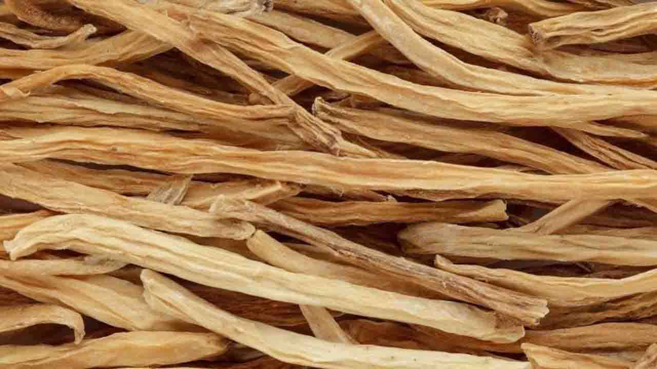 Ayurvedic Herbs: আয়ুর্বেদিক চিকিৎসায় এই শতমূলীর ব্যবহার জানেন?