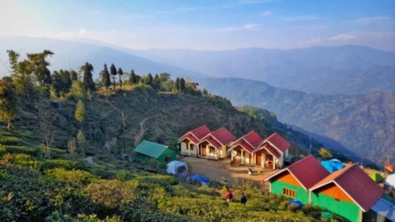 Shitong: বার্ডওয়াচাদের কাছে এক অনবদ্য ঠিকানা উত্তরবঙ্গের এই গ্রাম!