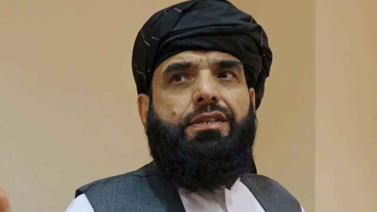 UN Assembly: রাষ্ট্রপুঞ্জের নয়া দূত সুহেল শাহিন, বিশ্বনেতাদের সঙ্গে কথা বলতে চায় তালিবান