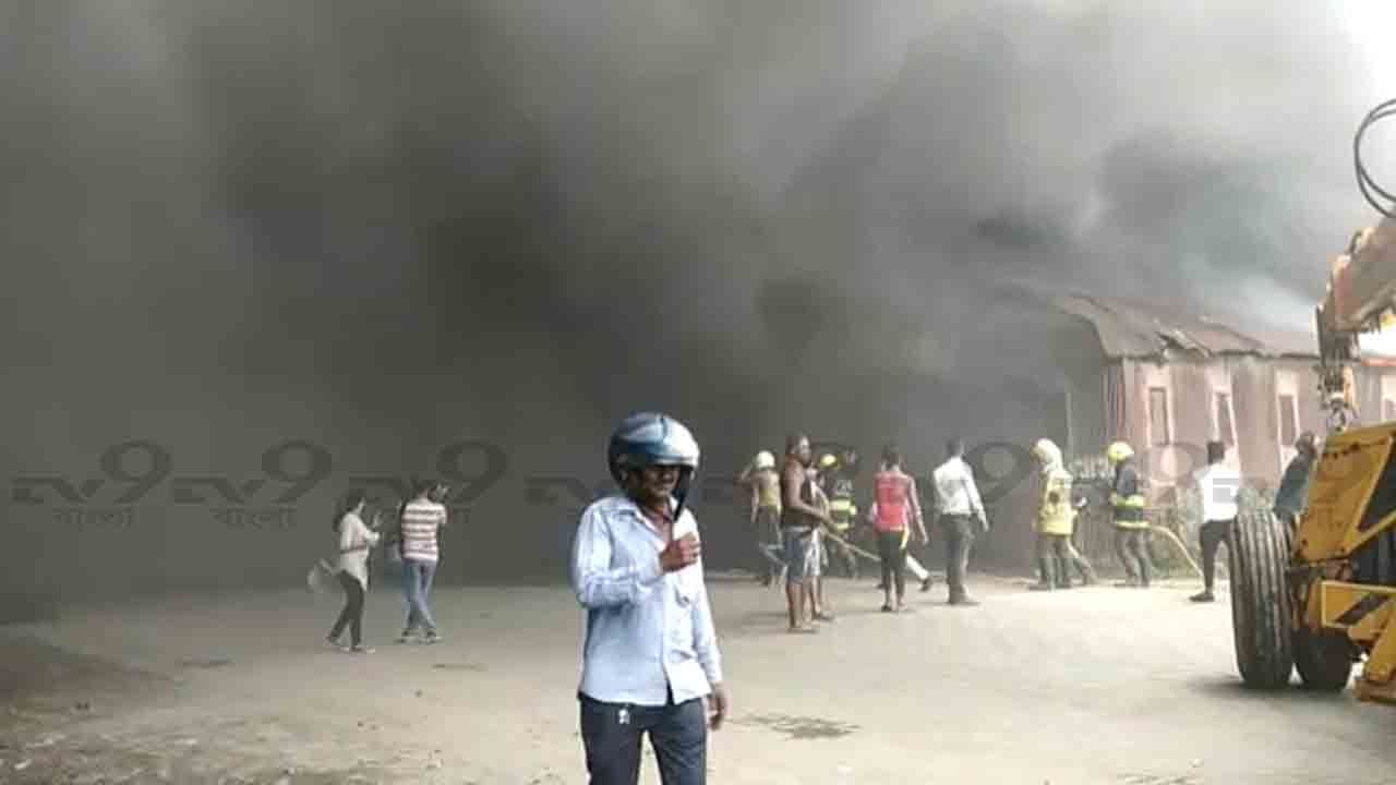 Fire at Taratala: বিধ্বংসী আগুন শহরে! দাউ দাউ করে জ্বলছে গুদাম, অনর্গল বেরিয়ে আসছে কালো ধোঁয়া Fire at Taratala: বিধ্বংসী আগুন শহরে! দাউ দাউ করে জ্বলছে গুদাম, অনর্গল বেরিয়ে আসছে কালো ধোঁয়া