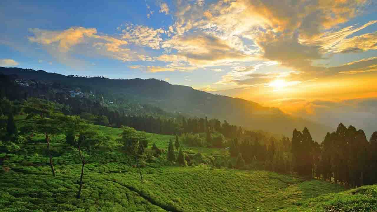 Tinchuley: পশ্চিমবঙ্গের মধ্যে লুকিয়ে থাকা এই পাহাড়ি গ্রামে ঘুম ভাঙে পাখিদের কলরবে!