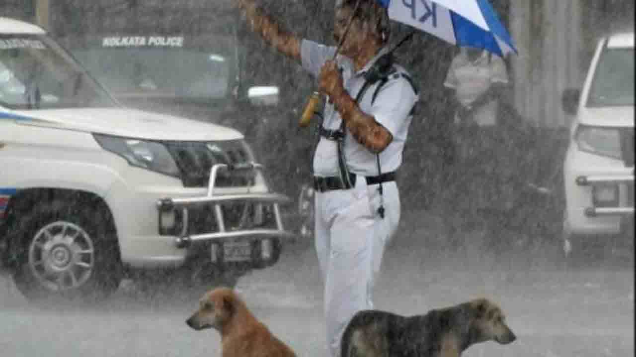 Viral: অতি বৃষ্টিতে অবলা জীবদের আশ্রয় দিলেন কলকাতার একজন ট্র্যাফিক গার্ড‌!