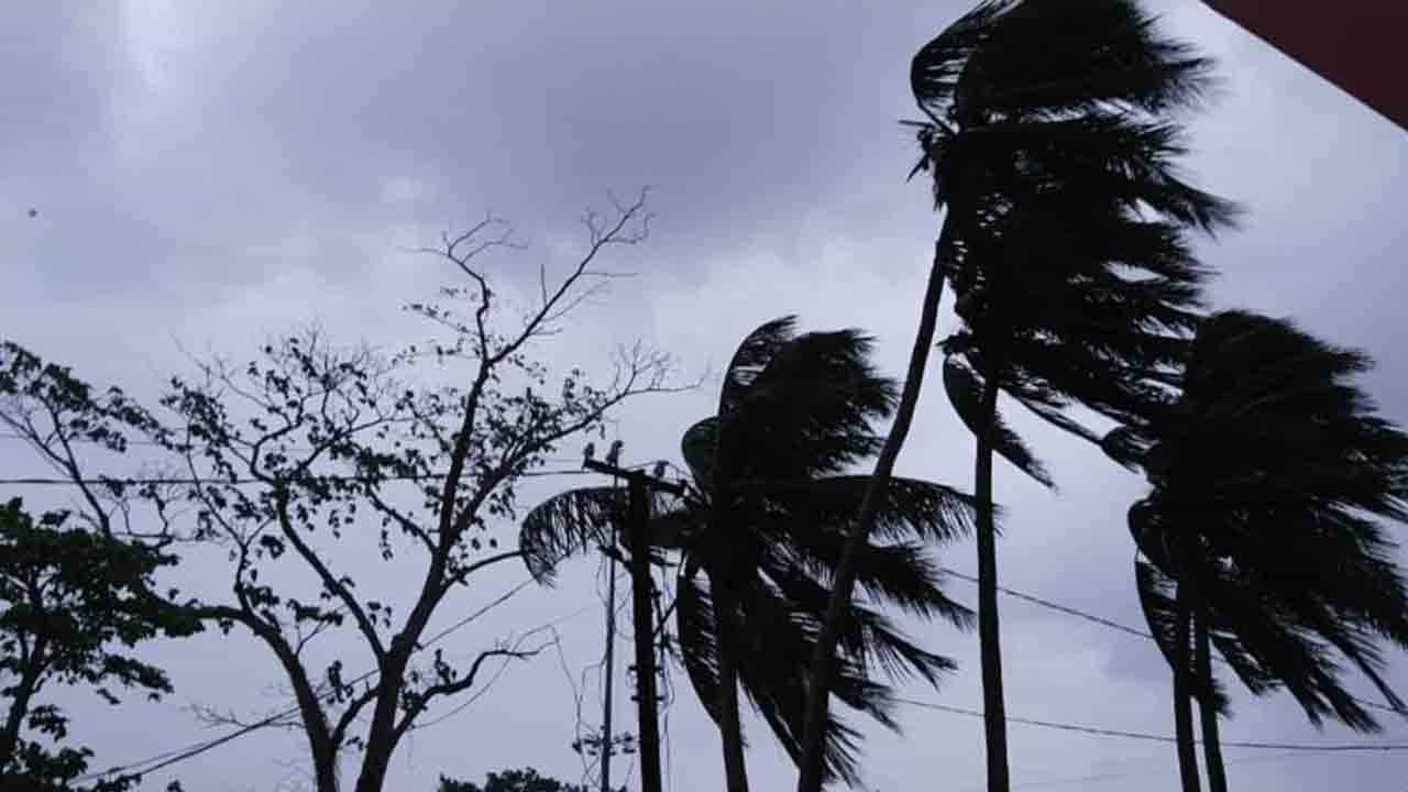 Control Room ahead of Heavy Rain: দুর্যোগের আগে সজাগ কলকাতা সহ ১৪ জেলা, প্রতি ব্লক-পৌরসভায় কন্ট্রোল রুম Control Room ahead of Heavy Rain: দুর্যোগের আগে সজাগ কলকাতা সহ ১৪ জেলা, প্রতি ব্লক-পৌরসভায় কন্ট্রোল রুম