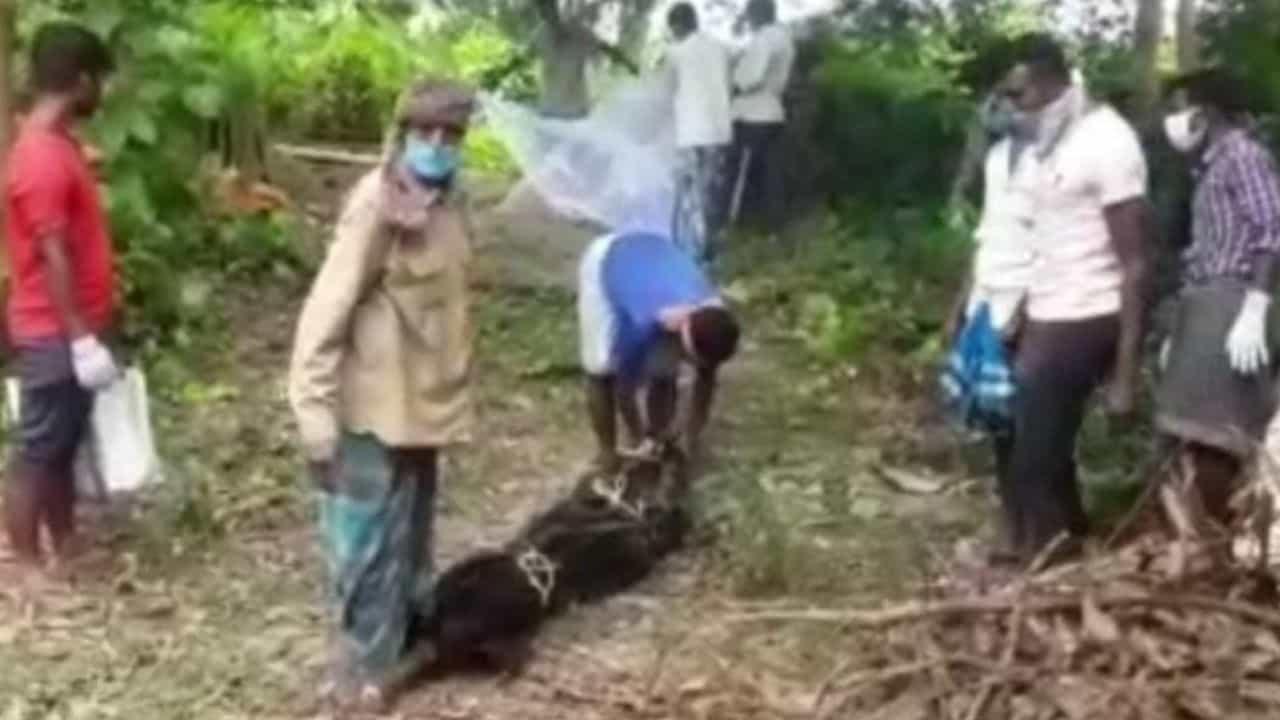 প্রেমিকের সঙ্গে ফন্দি করে 'পথের কাঁটা'কে সরাল স্ত্রী! কবর থেকে দেহ তুলে শুরু ময়নাতদন্ত প্রেমিকের সঙ্গে ফন্দি করে 'পথের কাঁটা'কে সরাল স্ত্রী! কবর থেকে দেহ তুলে শুরু ময়নাতদন্ত