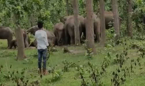 সন্ধে হলেই একরাশ আতঙ্ক গ্রাস করছে সাধারণ মানুষের মধ্যে । রীতিমতো গৃহবন্দি হয়ে থাকতে হচ্ছে তাদের । কেননা রাতের অন্ধকারে বাড়ির বাইরে বেরোলে যেকোনো মুহূর্তে প্রাণহানির মতো দুর্ঘটনা ঘটতে পারে । 