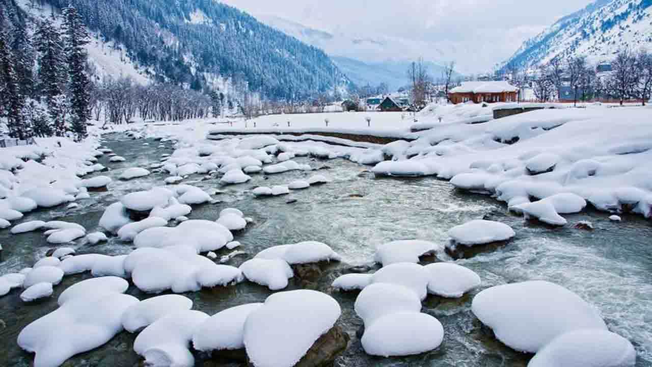 Indian died at US-Canada Border: বরফ ঢাকা মার্কিন সীমান্তে পড়ে এক শিশু সহ চার ভারতীয়ের দেহ! উদ্বেগ প্রকাশ বিদেশমন্ত্রীর Indian died at US-Canada Border: বরফ ঢাকা মার্কিন সীমান্তে পড়ে এক শিশু সহ চার ভারতীয়ের দেহ! উদ্বেগ প্রকাশ বিদেশমন্ত্রীর