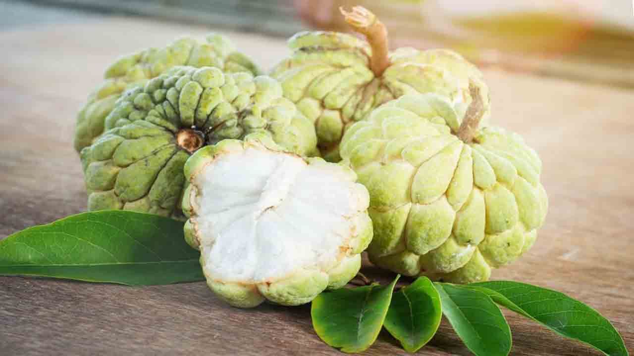 Custard Apple: হার্ট কিংবা ডায়াবেটিসের রোগীরা কি খেতে পারবেন সীতাফল?