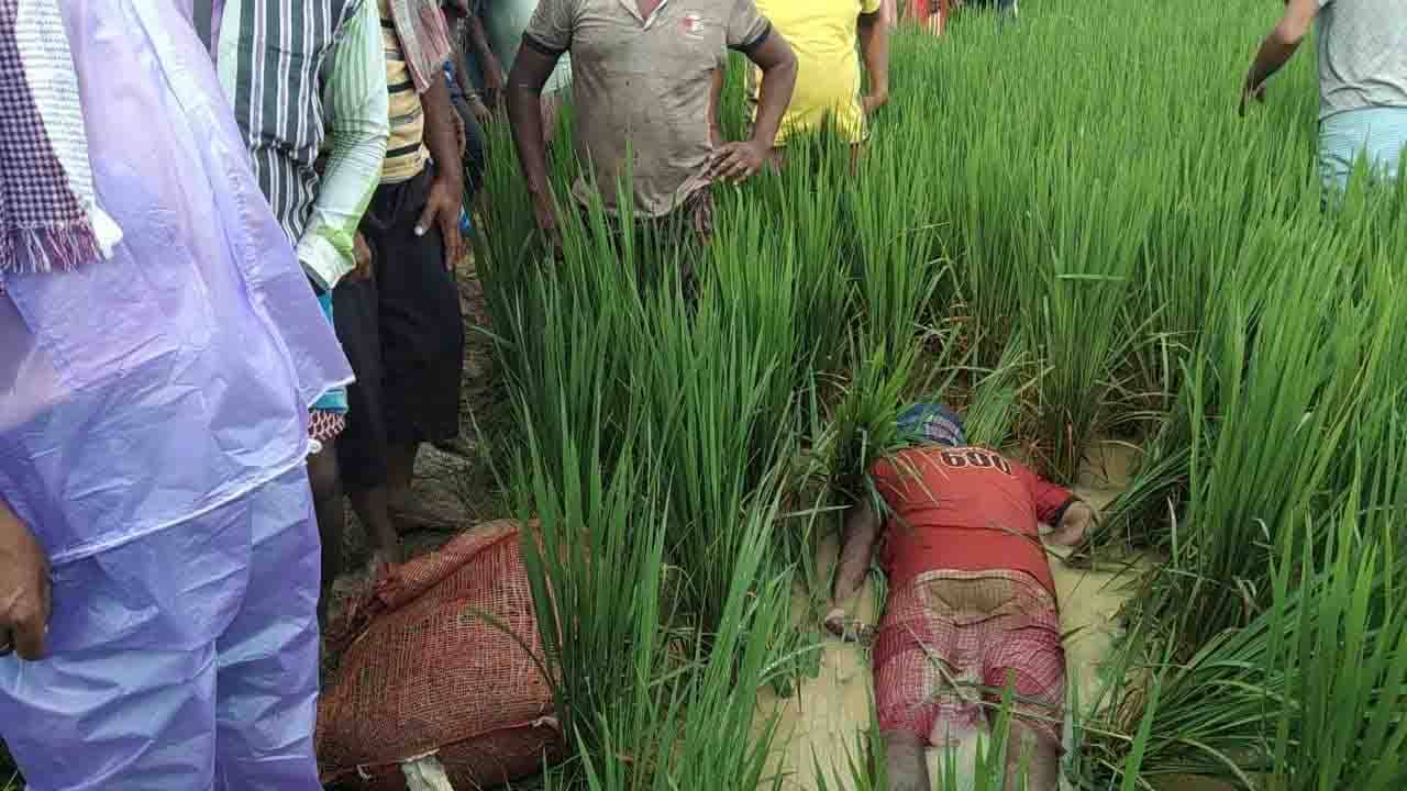 Electrocution: ধানজমিতে ঝুলে পড়েছিল ১১ হাজার ভোল্টের হাইটেনশন তার, না দেখেই মৃত্যুফাঁদে পা কৃষকের!