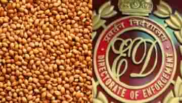 ED Chemical Spices: ধনেতে মেশানো হচ্ছে সোনালি রঙ! ইডি-র জালে হাবরার ব্যবসায়ী