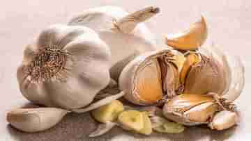 Side Effects Of Garlic: দ্রুত ফল পেতে বেশি পরিমাণে রসুন খাচ্ছেন? জেনে নিন এতে কী কী ক্ষতি হতে পারে আপনার