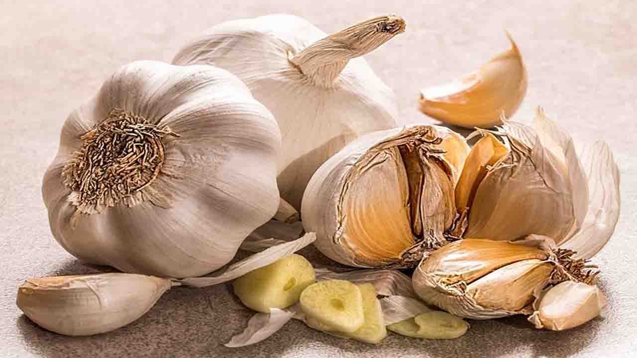 Side Effects Of Garlic: দ্রুত ফল পেতে বেশি পরিমাণে রসুন খাচ্ছেন? জেনে নিন এতে কী কী ক্ষতি হতে পারে আপনার