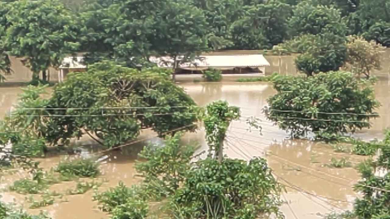 WB Flood Situation: এক টানা বৃষ্টি! পুজোতে ভাসবে বাংলার এই জেলাগুলি