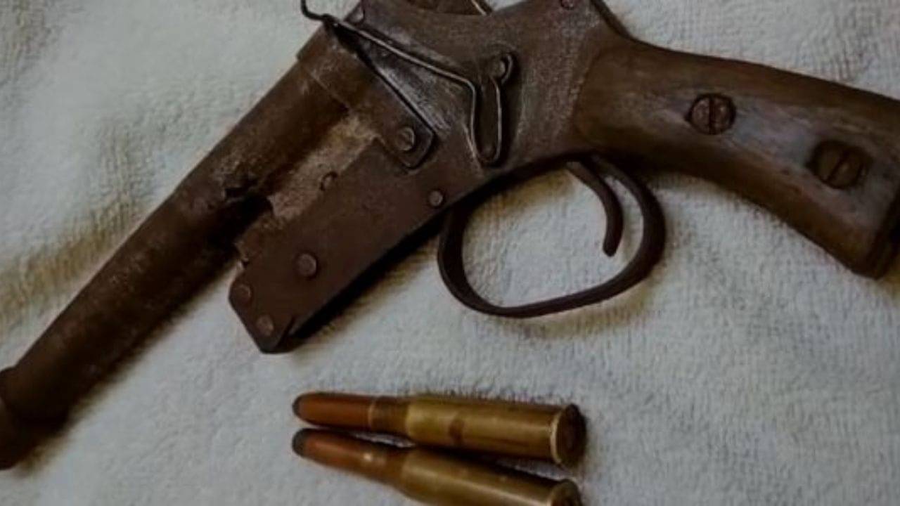 Noapara Dacoity: নোয়াপাড়ায় ডাকাতির ছক বানচাল, আগ্নেয়াস্ত্র-সহ ধৃত দুষ্কৃতী