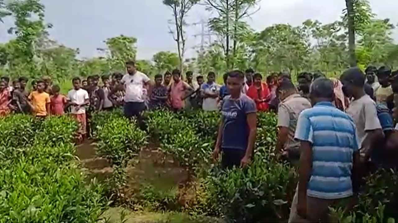 Jalpaiguri: হাতে শাখা-পলা, কপালে সিঁদুর-সঙ্গে মেশানো রক্ত! মহিলাকে পাওয়া গেল নর্দমায়