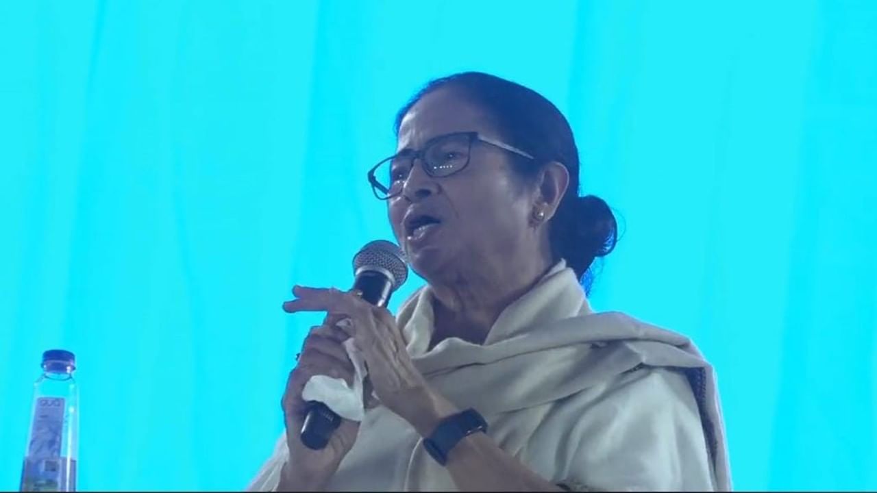 Mamata Banerjee: ২০ বছর আমার জ্বর হয়নি, আজকাল অল্পেতে ঠান্ডা লেগে যাচ্ছে