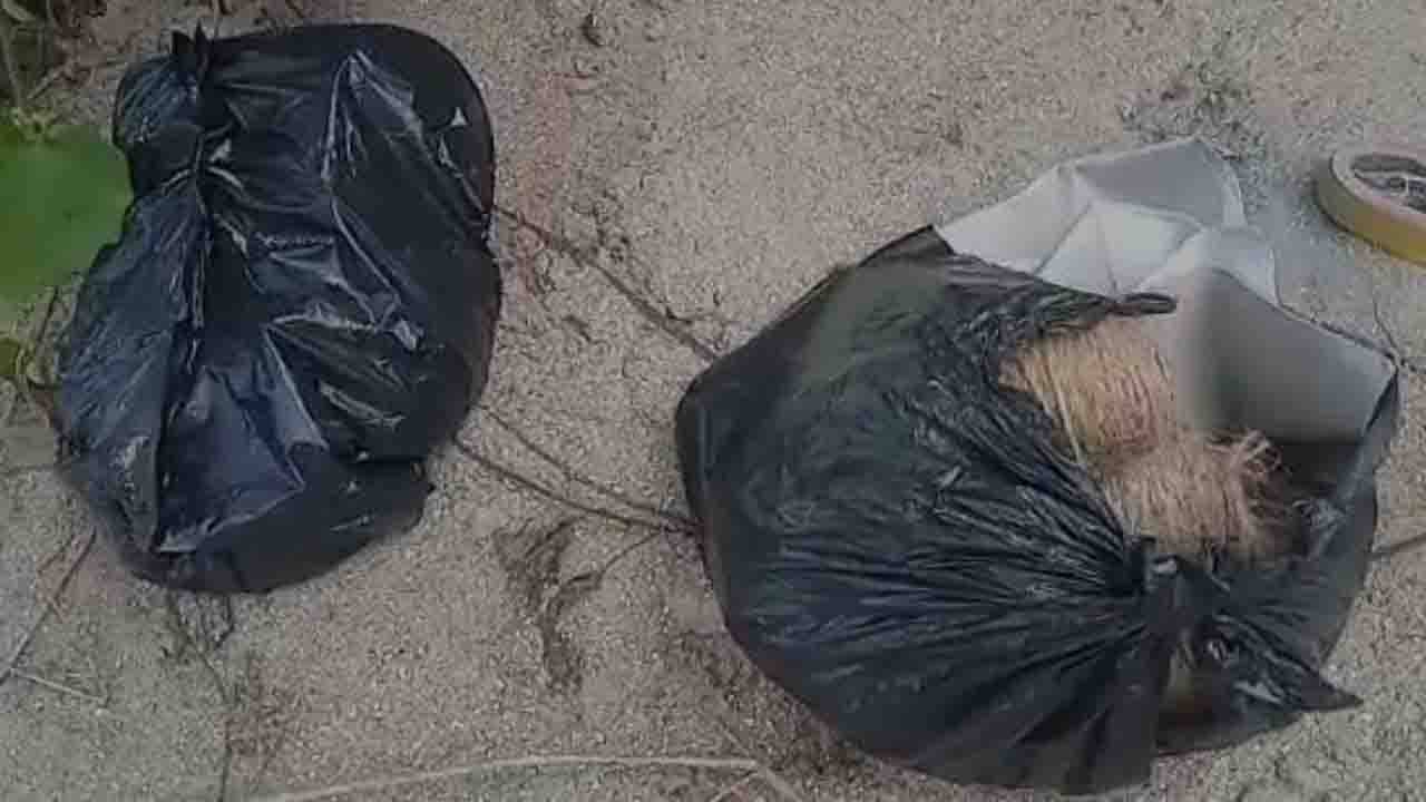 Tufanganj: পুজোর ১ দিন আগেই কলেজের সামনে থেকে উদ্ধার বোমা তৈরির সরঞ্জাম!