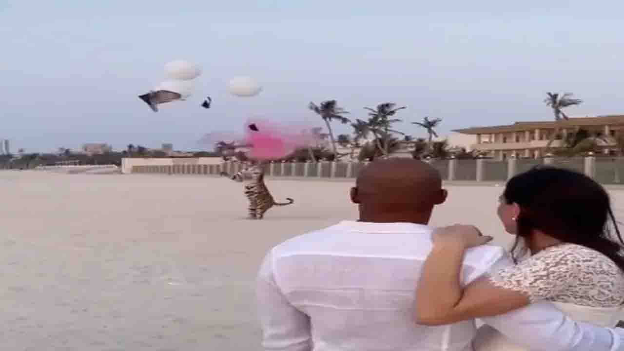 Viral Video: বাঘকে দিয়ে প্রকাশ করানো হল সন্তানের লিঙ্গ! দুবাইয়ের এই কান্ড দেখে ক্ষুব্ধ নেটিজেনরা