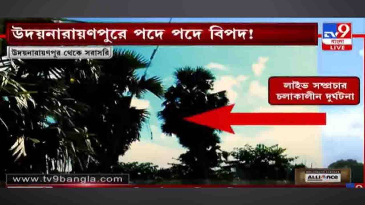 রোমহর্ষক! লাইভেই TV9 সাংবাদিকের সামনেই হুড়মুড়িয়ে ভেঙে পড়ল তালগাছ-ল্যাম্প পোস্ট