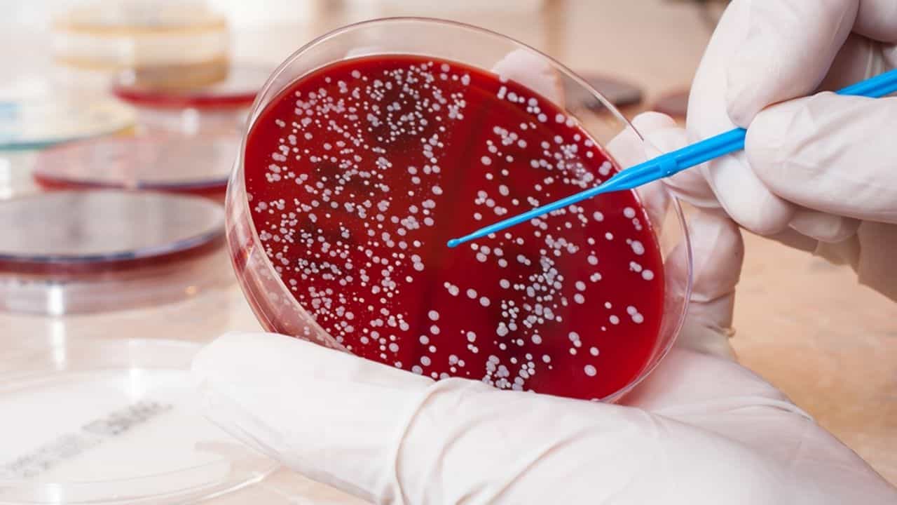 Blood Cancer Myths: ব্লাড ক্যানসার সম্বন্ধে প্রচলিত কিছু ভুল ধারণার বদলে সত্যিগুলো জেনে নিন... Blood Cancer Myths: ব্লাড ক্যানসার সম্বন্ধে প্রচলিত কিছু ভুল ধারণার বদলে সত্যিগুলো জেনে নিন...