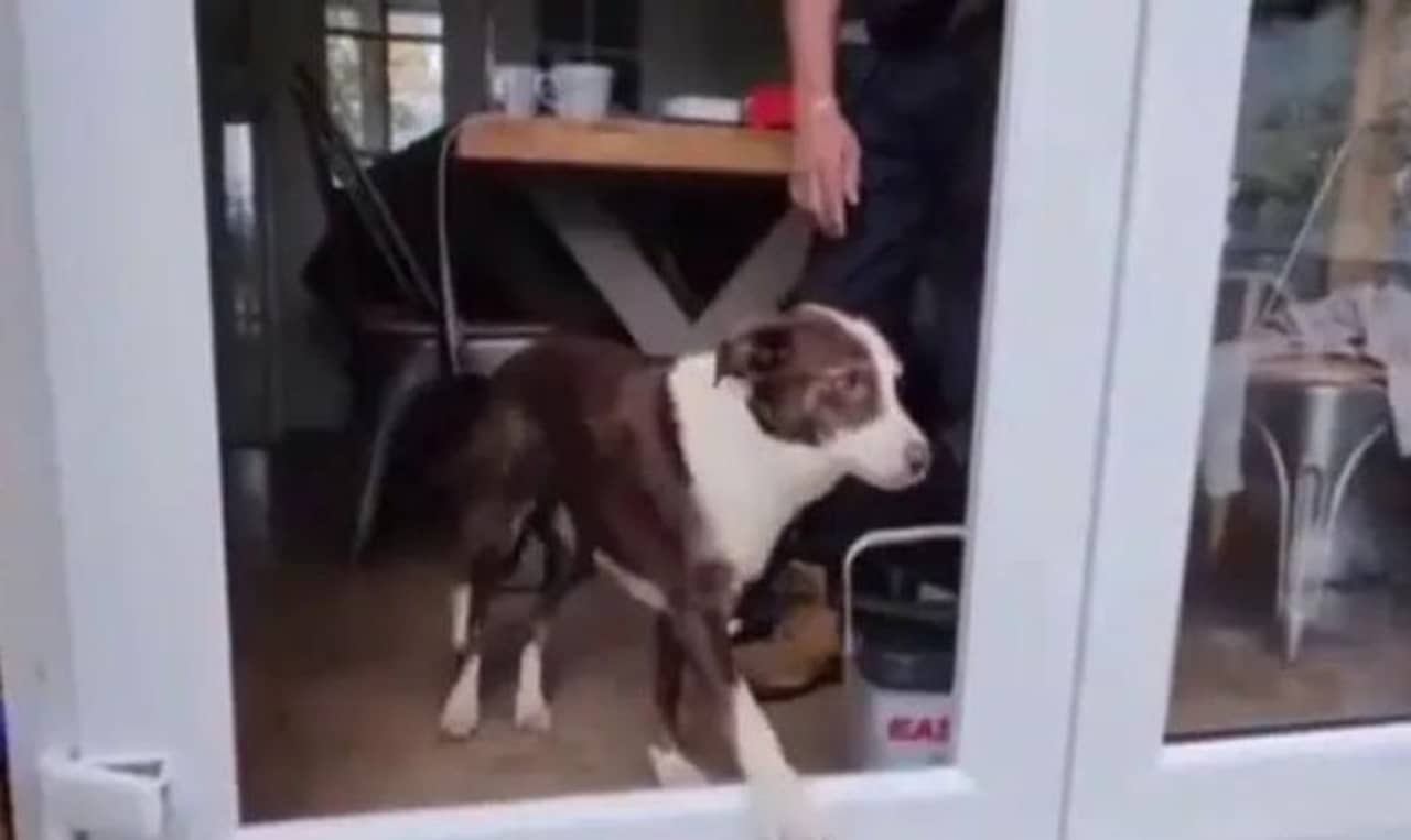 Viral Video: ব্যবসায় সবচেয়ে মূল্যবান দক্ষতা কী? ভাইরাল ভিডিয়ো শেয়ার করলে বোঝালেন আনন্দ মাহিন্দ্রা