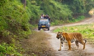 Uttarakhand: মরসুমের আগেই ভারী তুষারপাতের জেরে বরফে ঢাকা পড়ল হিমাচল ও উত্তরাখণ্ড!