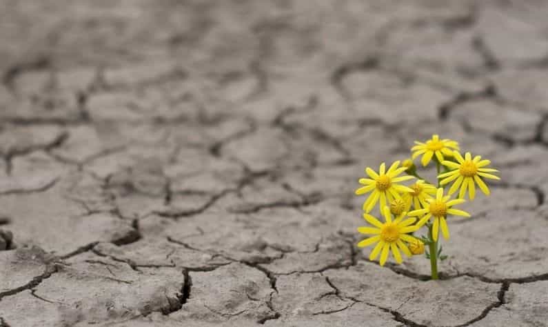 Climate change: জলবায়ু পরিবর্তনে দ্রুত ছড়াচ্ছে সংক্রমণ, সামাল দেওয়ার পরিকাঠামো নেই কোনও দেশের!
