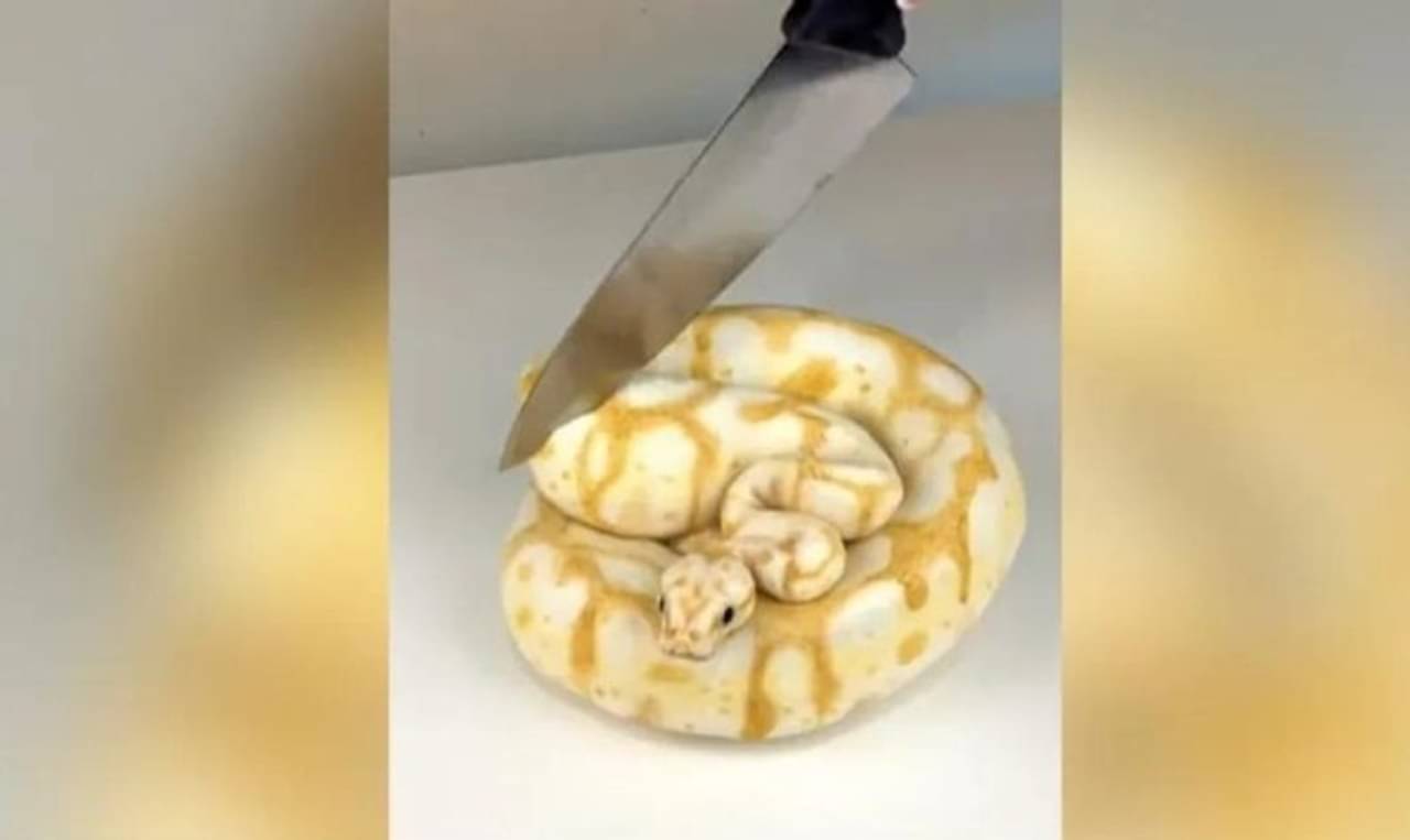 Viral Video: সাপের কেক ঘিরে উত্তাল নেটদুনিয়া! ভাইরাল ভিডিয়ো দেখলে অবাক হবেন আপনিও...
