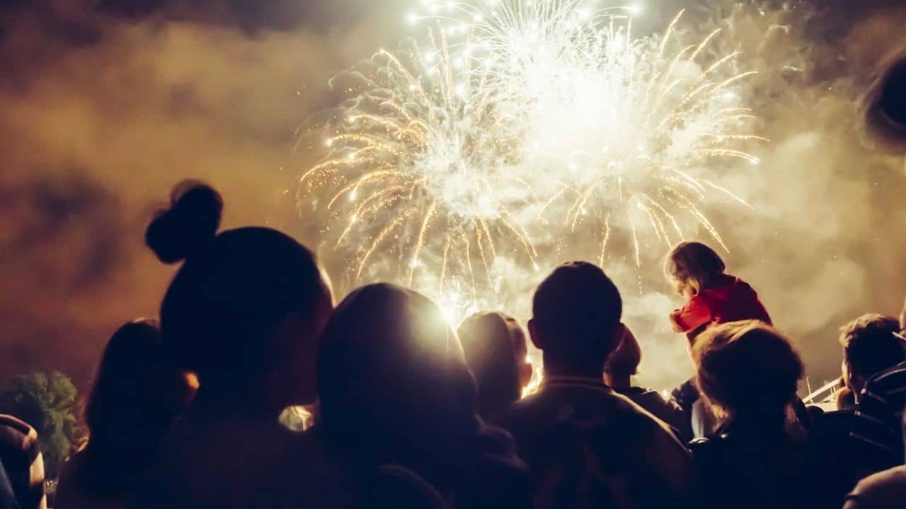 Lung Health: সদ্য করোনা থেকে সেরে উঠেছেন? তাহলে ভুলেও কালীপূজাতে আতসবাজির ধোঁয়া যেন ফুসফুসে না যায়...