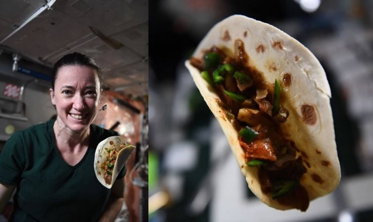 NASA: মহাকাশে প্রথম চাষ করা লঙ্কায় কামড়, পিছনে নাসার আরও বড় মিশন