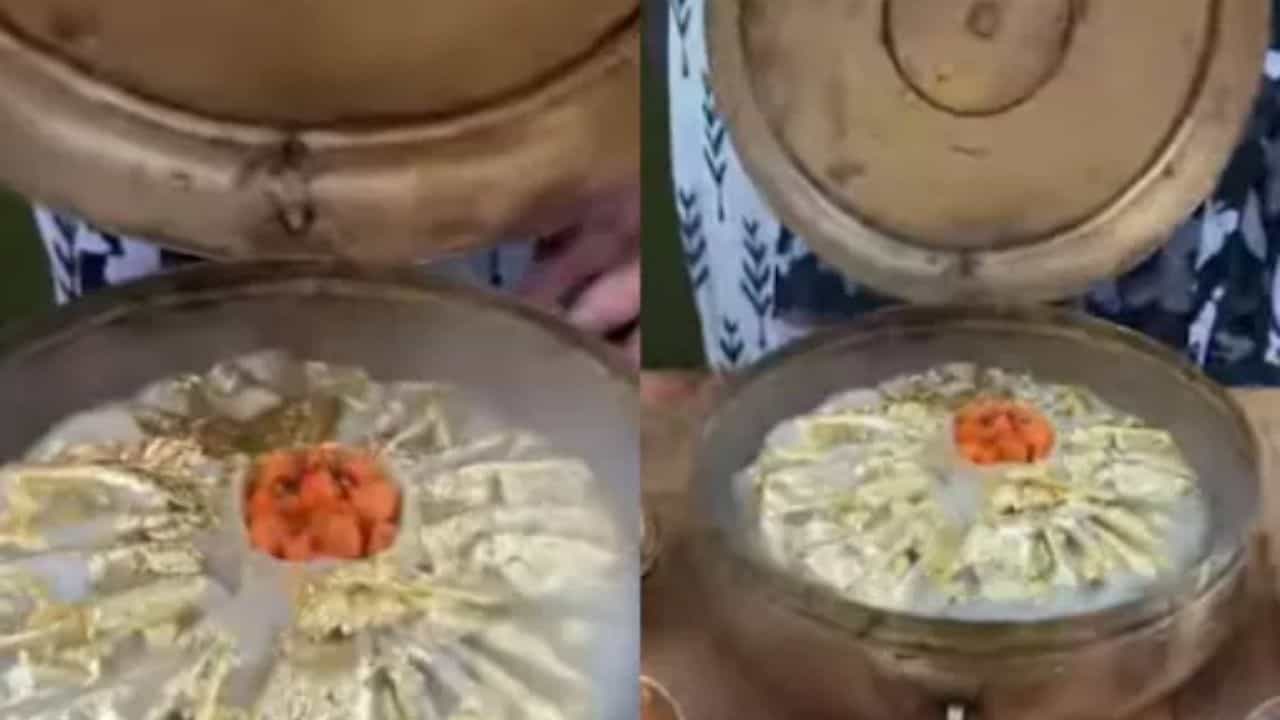 Viral Video: সোনা দিয়ে মোড়া 'বাহুবলী মোমো'! হ্যাঁ, মোমোর এই অসাধারণ রেসিপি দেখে তোলপাড় ইন্টারনেট...