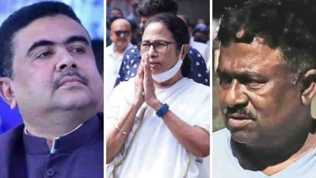 West Bengal By Poll: নন্দীগ্রামের বিধায়ক জালিয়াত, ভবানীপুরে জয়ী মমতাই, মন্তব্য সুফিয়ানের