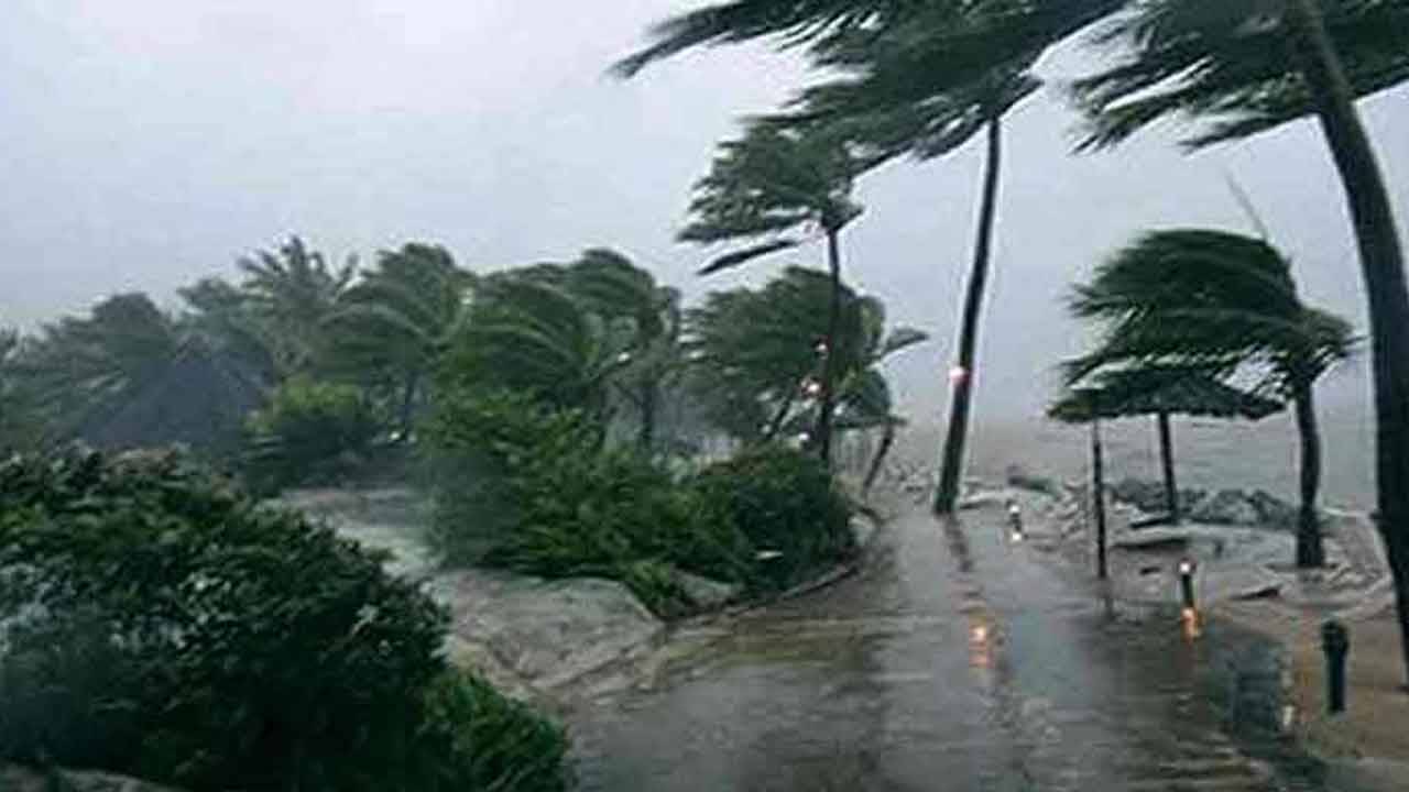 Weather Update: দুর্যোগ এল ঘনিয়ে! কমলা-হলুদ সব সতর্কতাই জারি, আপনার এলাকায় কবে বিপদ? মিলিয়ে নিন তালিকা