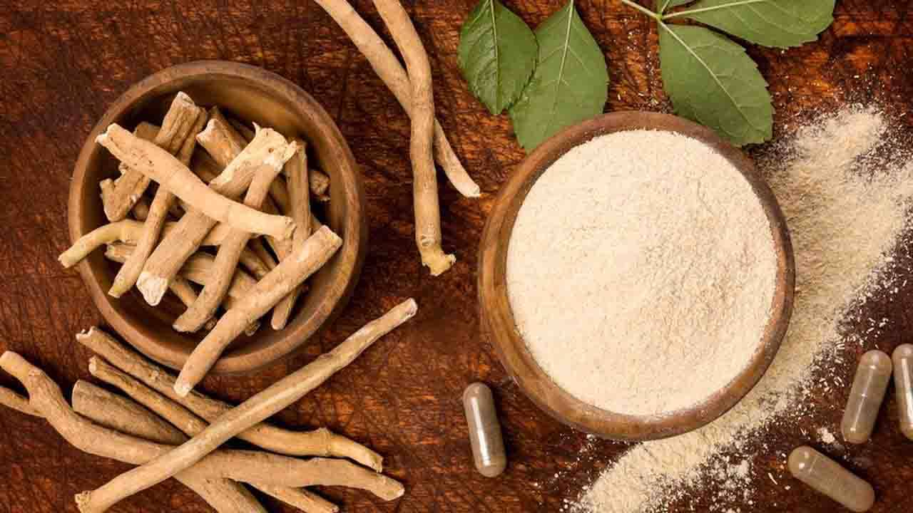 Ashwagandha: দুশ্চিন্তা কমছে না, ডিপ্রেশনের শিকার হচ্ছেন, মুক্তি দেবে অশ্বগন্ধা